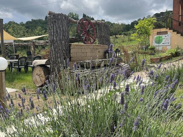 בית מלון כפרי Agriturismo La Palma Sambuca Val Di Pesa