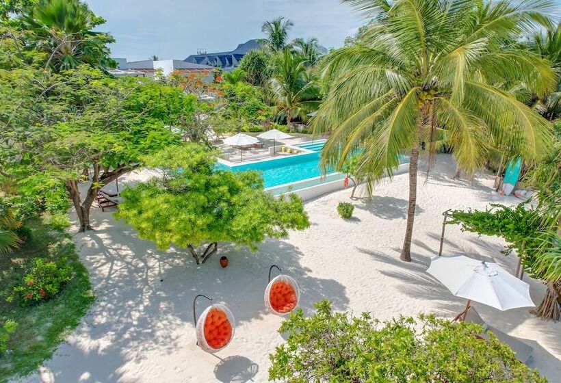 فندق Alma Boutique