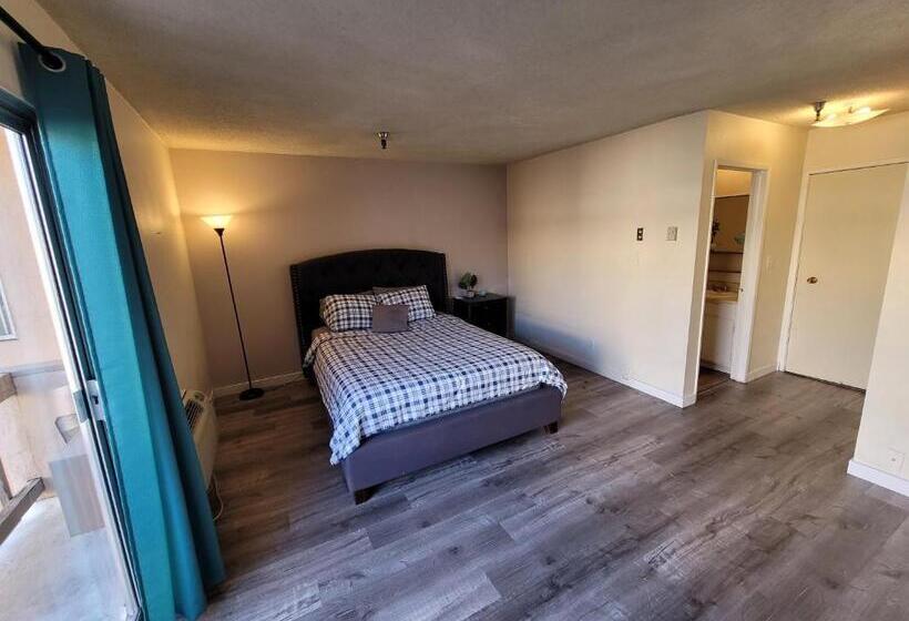 ホテル (c20) Large & Cozy Unit