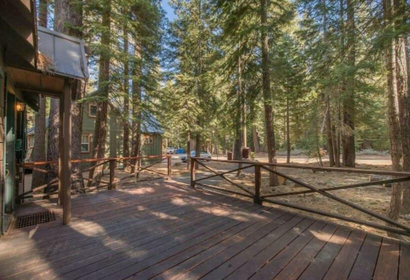 Owls Peak By Avantstay Private Pine Tree Cabin Mins From The Water