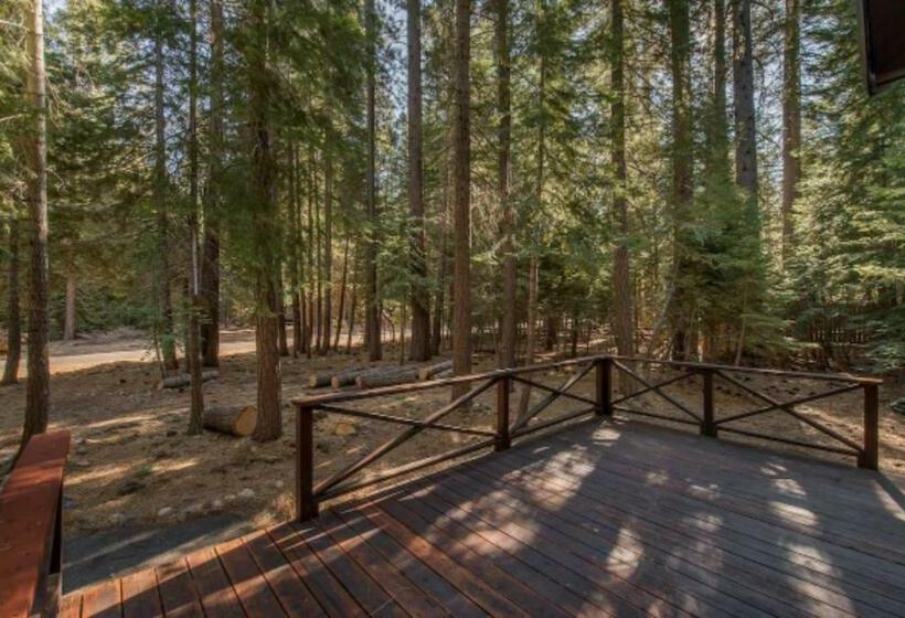 Owls Peak By Avantstay Private Pine Tree Cabin Mins From The Water