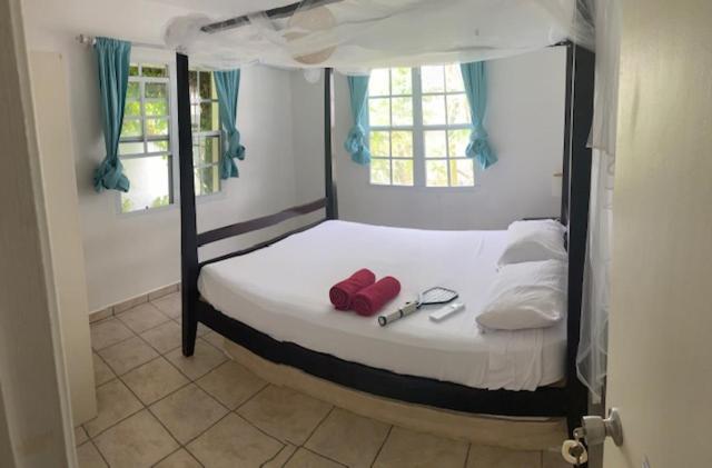 پانسیون Akunamatata Guest House Grand Case