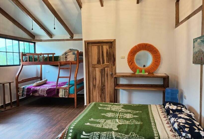 بنسيون Café Madame