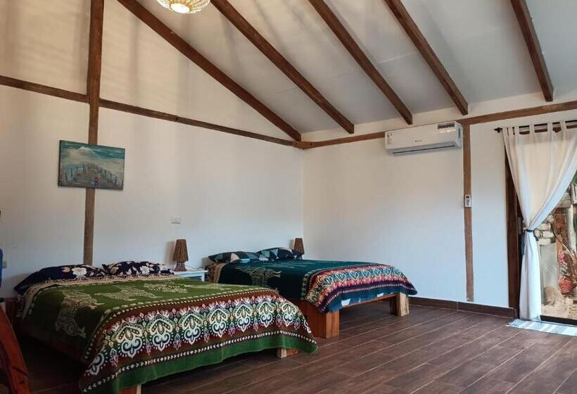 بنسيون Café Madame