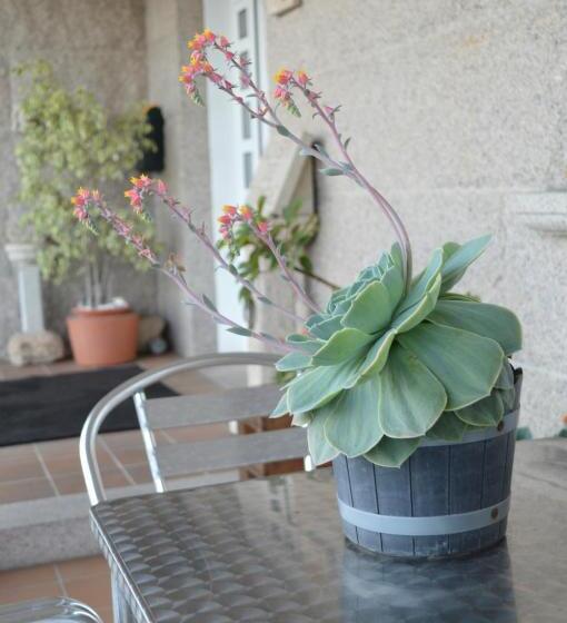 펜션 Casa De Conde