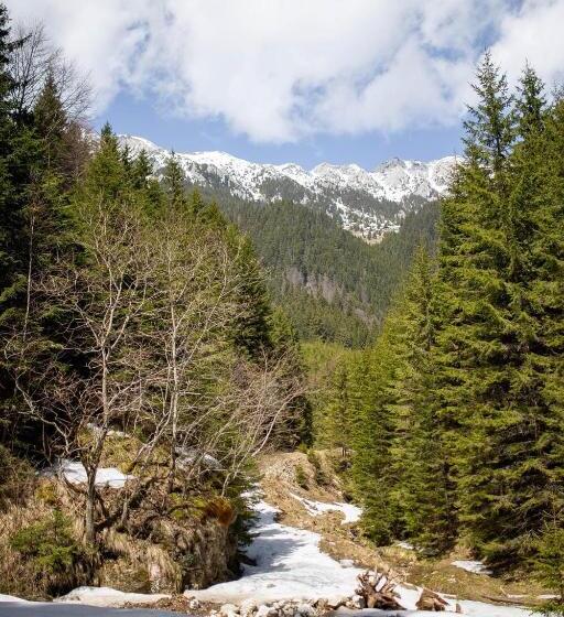 פנסיון Casa Haiducilor Satic