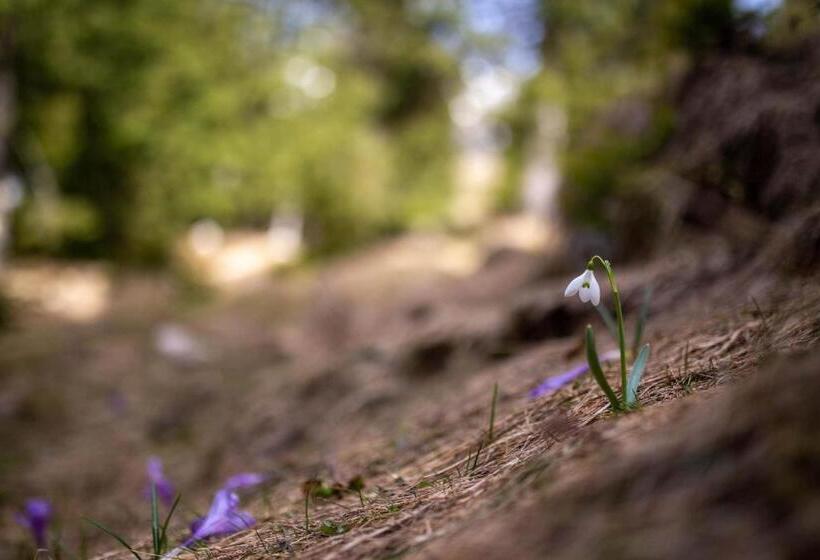 פנסיון Casa Haiducilor Satic