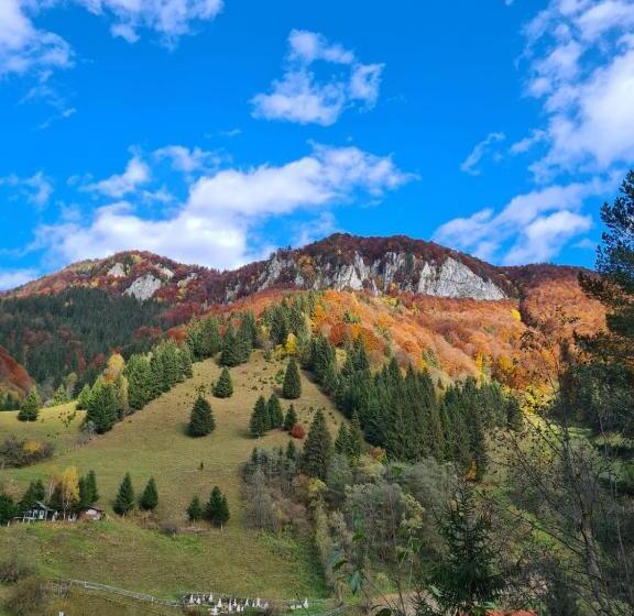 פנסיון Casa Haiducilor Satic