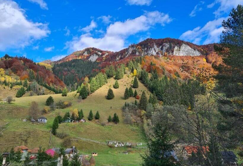 פנסיון Casa Haiducilor Satic