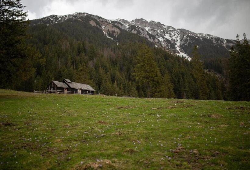 פנסיון Casa Haiducilor Satic