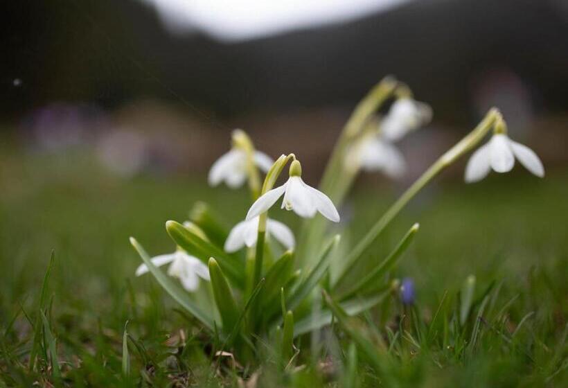 بنسيون Casa Haiducilor Satic