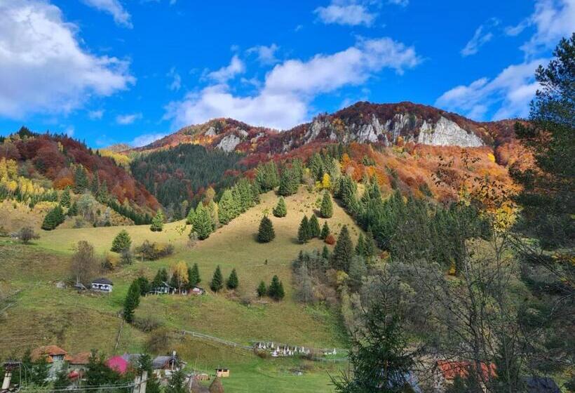 بنسيون Casa Haiducilor Satic