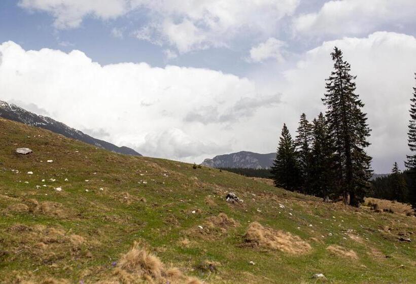 פנסיון Casa Haiducilor Satic