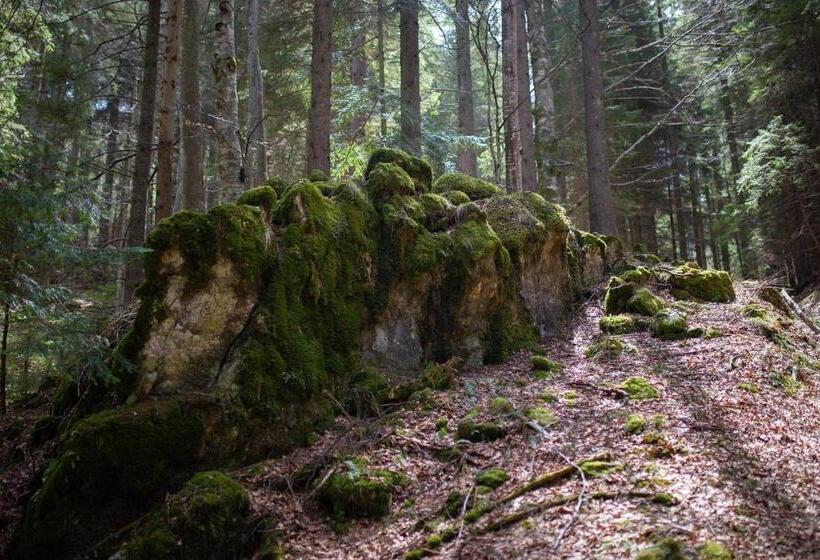 פנסיון Casa Haiducilor Satic