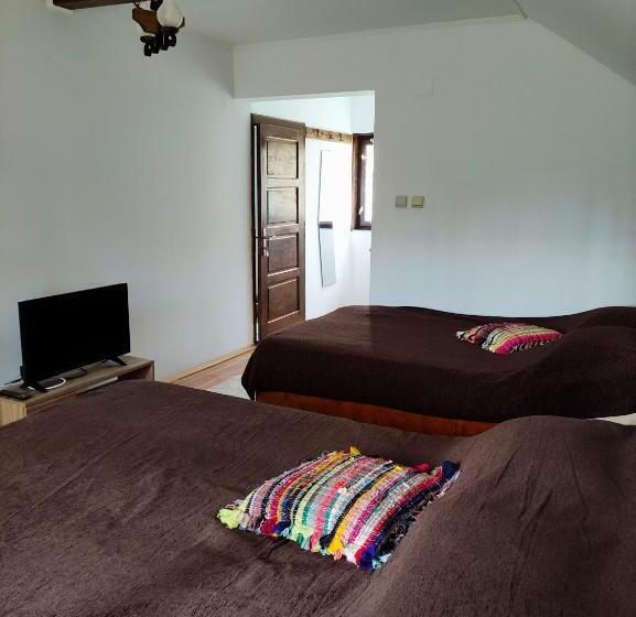 פנסיון Casa Haiducilor Satic