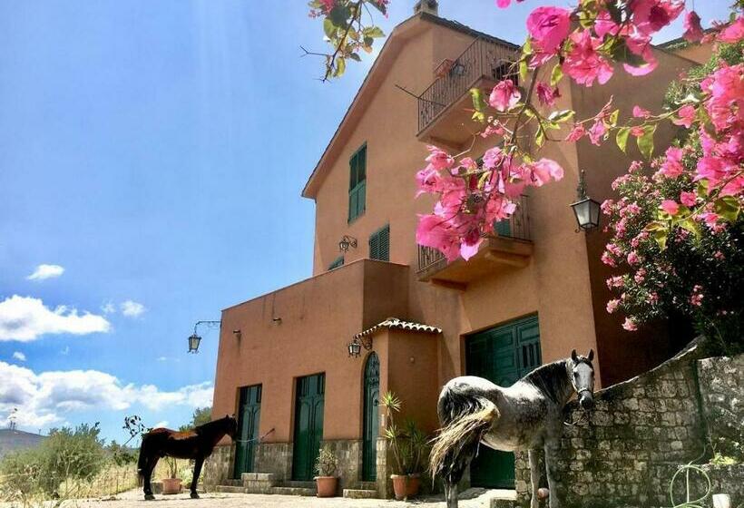 Пансион Country Room Sicily   Agrigentoholidays