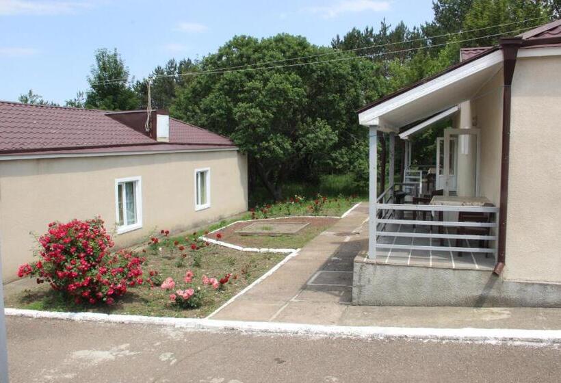 بنسيون Lori Berd