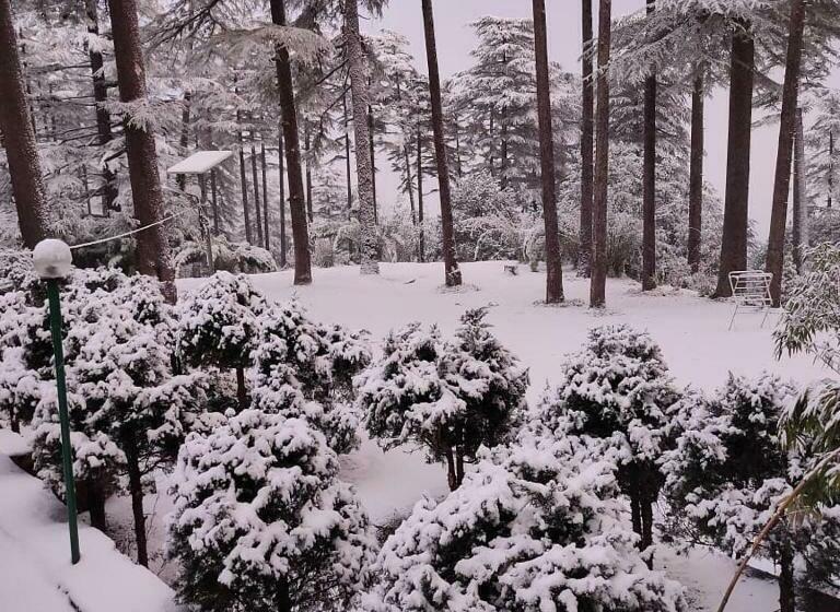 פנסיון Pine Guest House Abd Restaurant