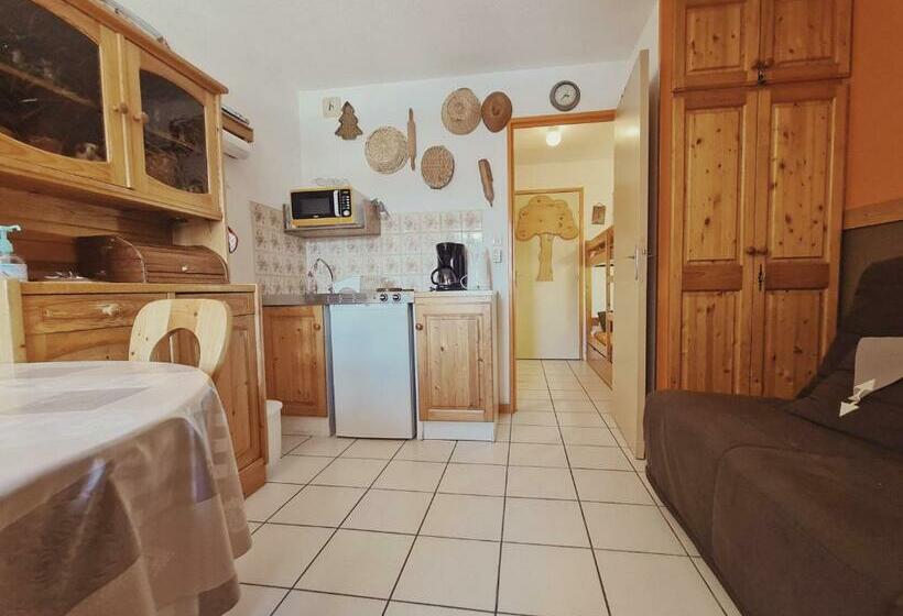 Studio Samoëns, 1 Pièce, 4 Personnes   Fr 1 624 115