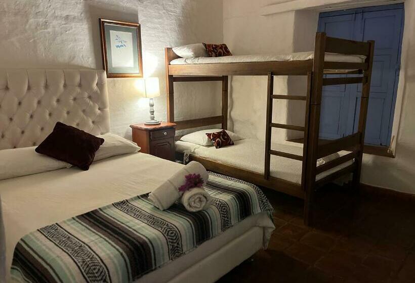 Tree Of Life   Hostel