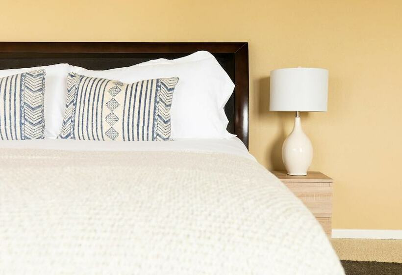 Vista De Los Ondas  Sea Star