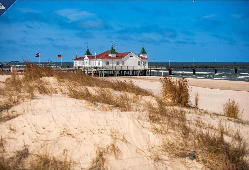 Ahlbeck Remise Uppsala