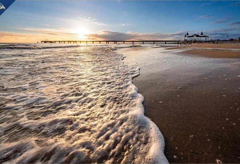 Ahlbeck Remise Uppsala