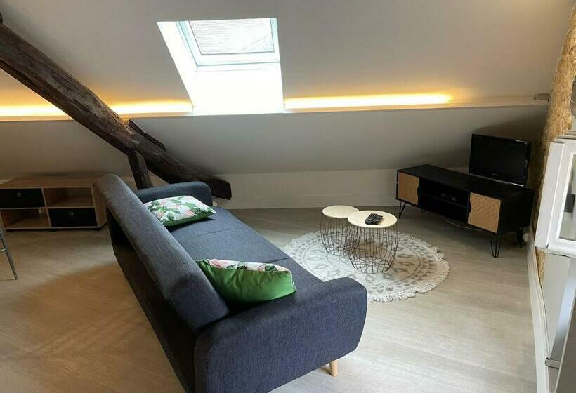 Appartement Authentique Meublé Sarlat Coeur Ville