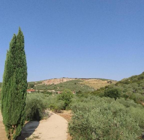 צימר L Oasi Di Juba