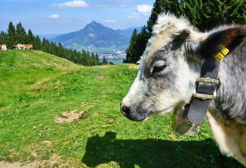 Ferienwohnung Sonnenstrahl