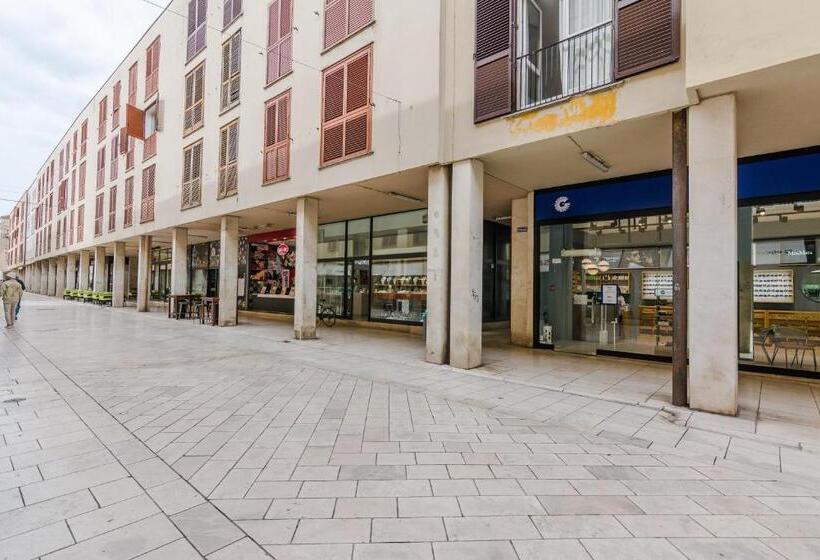 客栈 Neva Room With Private Bathroom