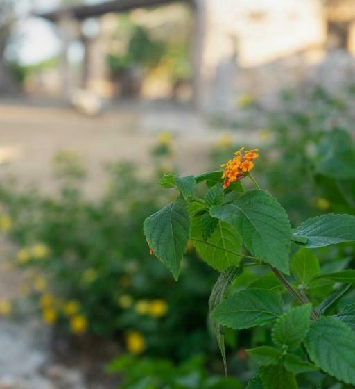 Levante E Libeccio Villette Vista Mare   Marina Di Andrano