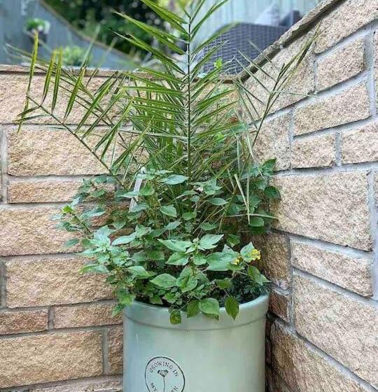 Mulberry House   Morpeth Town Centre   Hot Tub