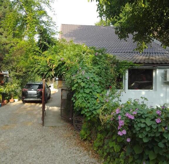 פנסיון Casa Mocanu