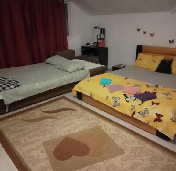 פנסיון Casa Mocanu