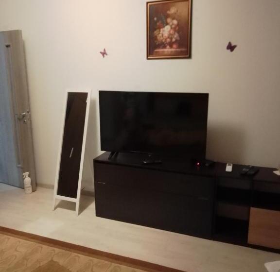 بنسيون Casa Mocanu