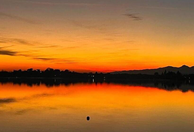 膳宿费 Il Gufo E Il Gatto Del Lago