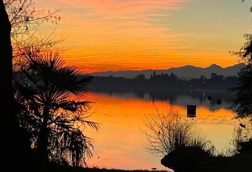 膳宿费 Il Gufo E Il Gatto Del Lago