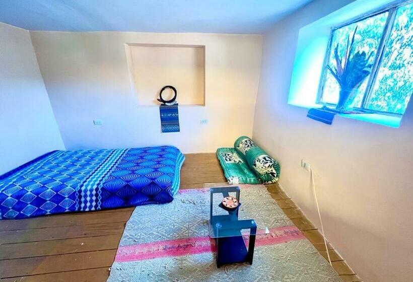 Wallpari Sonqo Alto Hospedaje Medicina Temazcal