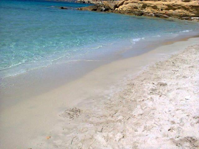 Apartment Elena, Centrale, 3km Dal Mare