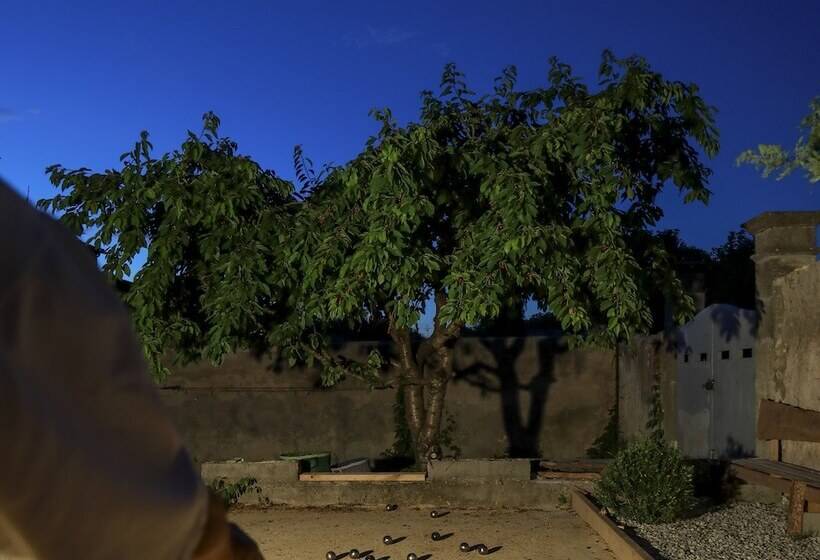 مبيت وإفطار Le 37 Malaucene