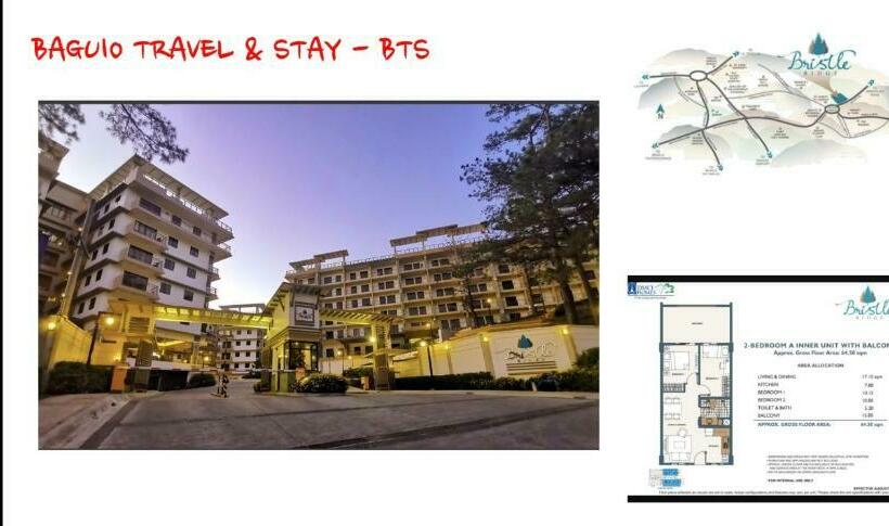 Bts Dmci Bristle Ridge