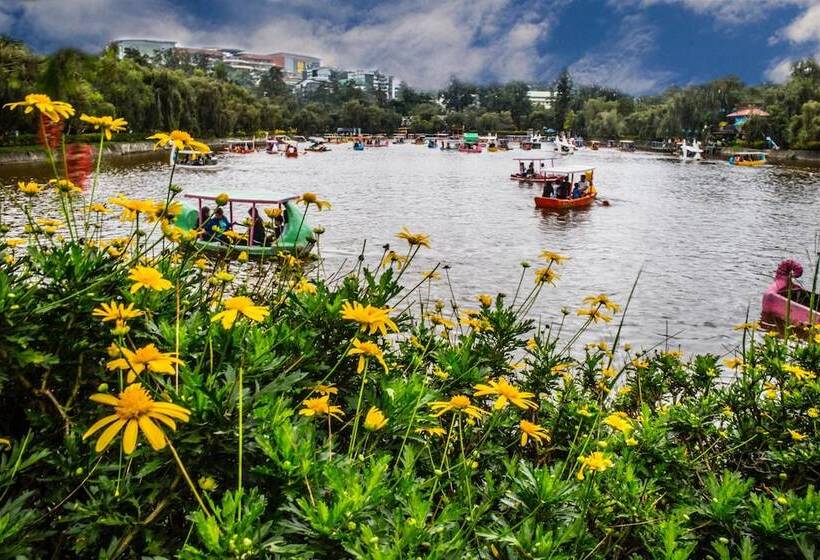 Campo Filipino Dormitelle Powered By Cocotel