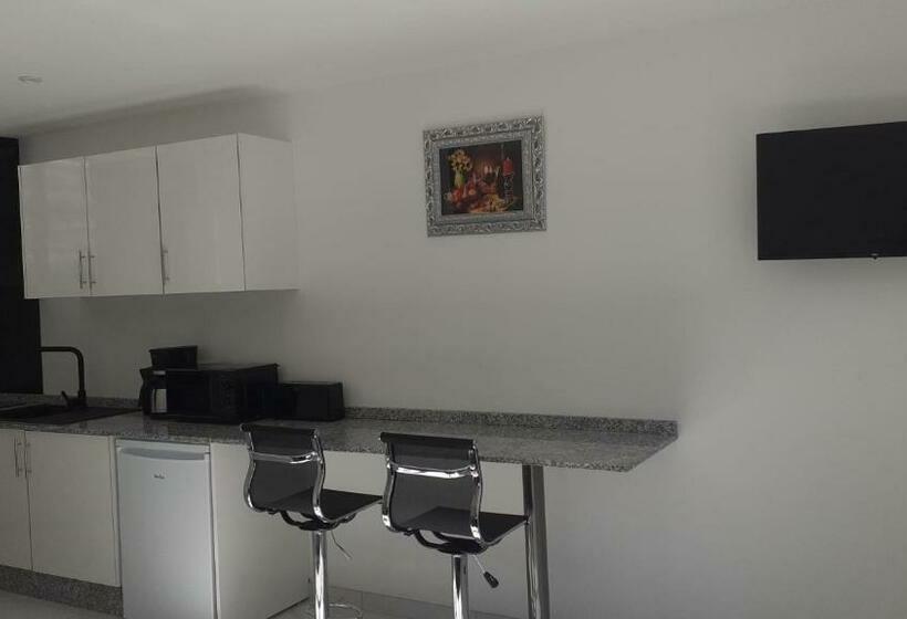 펜션 Appartement Oh! Duc De Sully