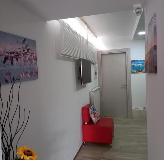 بنسيون Camera Eden