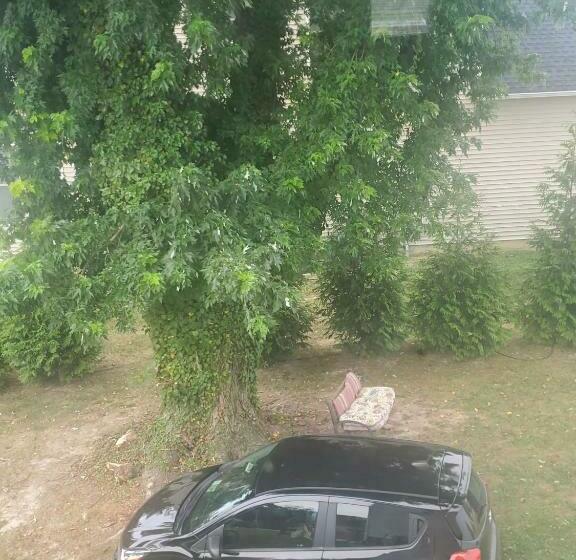 بنسيون Room In Cabin   Camping Cabin With Sauna Access 1st Fl