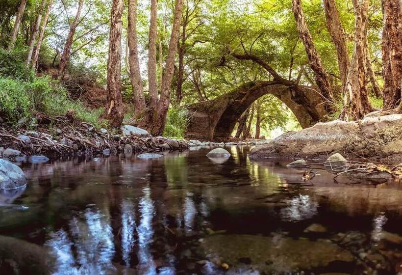 Villa Miracle In Paralimni