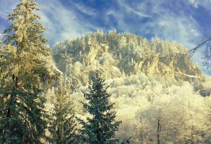 ユースホステル Kunst Und Naturfreundehaus Brünig