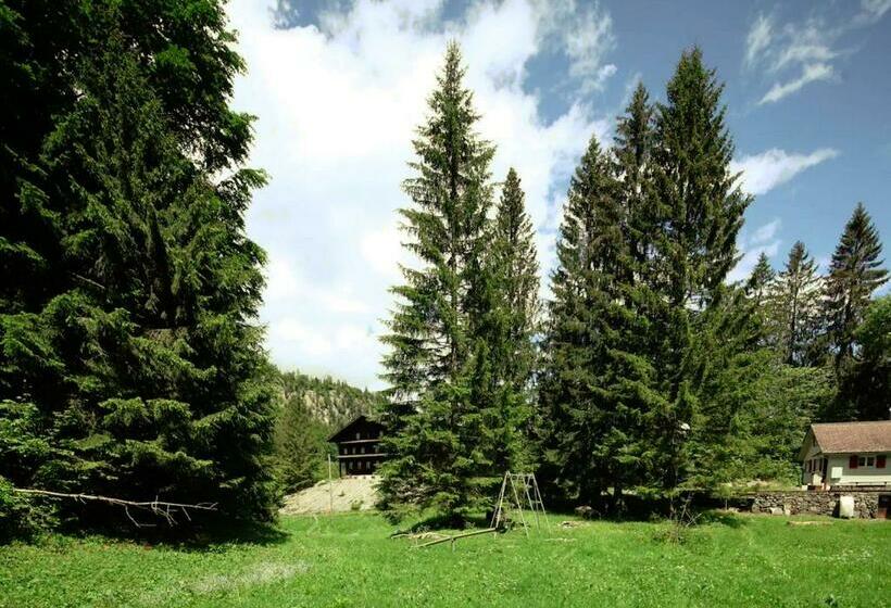 ユースホステル Kunst Und Naturfreundehaus Brünig