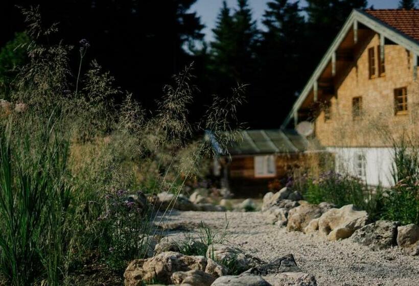 호스텔 Stubn In Der Frasdorfer Hütte